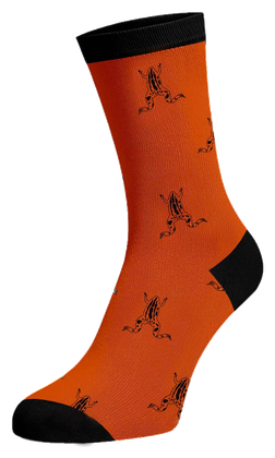 Hansie en Grietjie orange sock with Cape Platanna frog print